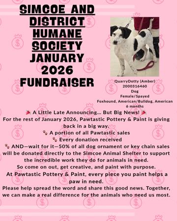 Simcoe and District Humane Society January 2026 Fundraiser